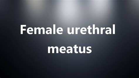 shemale urethra|Urethra Shemale Porn Videos